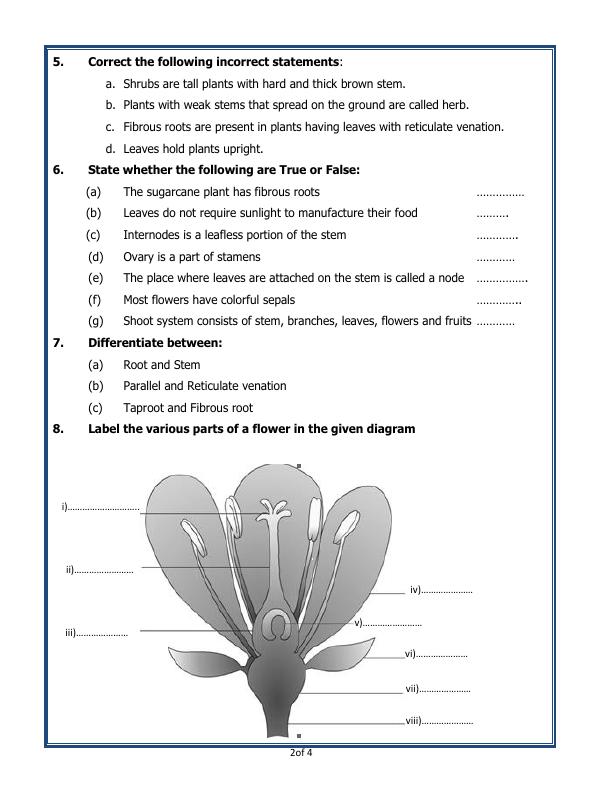 A2Zworksheets:Worksheet of Getting To Know Plants Plants and Living A2Zworksheets:Worksheet of Getting To Know Plants Plants and Living