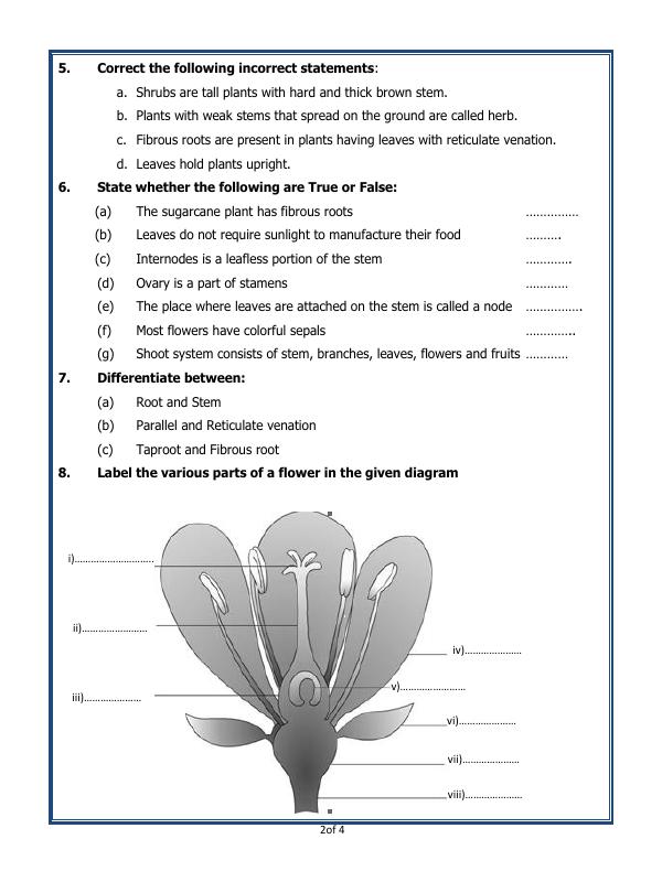 Getting To Know Plants