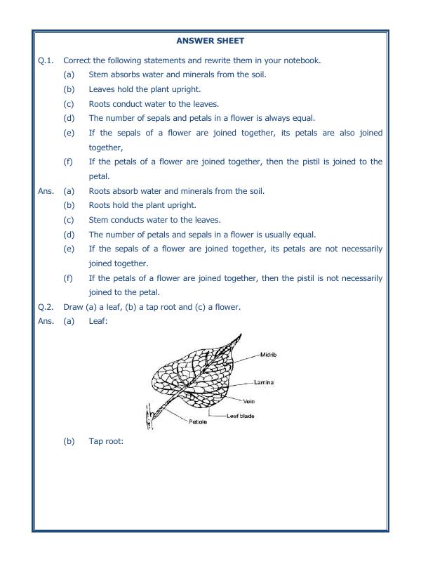 A2Zworksheets:Worksheet of Getting To Know Plants 01 Plants and Living
